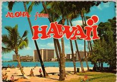 an advertisement for aloha from hawaii featuring palm trees and people on the beach