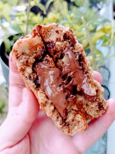 someone holding up a chocolate chip cookie in front of a potted plant with flowers