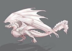 a white dragon on a gray background