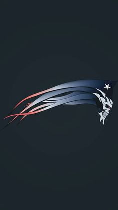 the new england rugby team's logo is seen in this photo taken on november 22, 2013