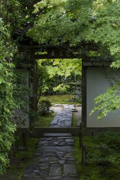 a stone path leading to an open door in the middle of a lush green forest