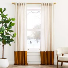 a living room with white walls and wooden flooring, two large plants in front of the window