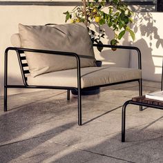 two chairs sitting next to each other on top of a cement floor near a potted plant