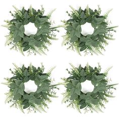 four wreaths with green leaves on white background