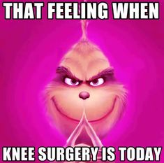 an angry bird saying that feeling when knee surgery is today