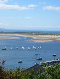 several sailboats are sailing in the water on a sunny day