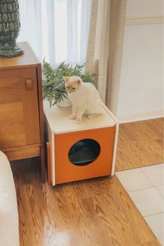 a small white cat sitting on top of an orange box next to a potted plant