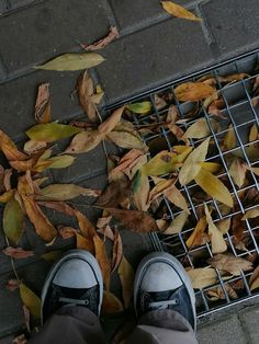 a person standing on the ground with their feet up next to leaves and a wire grate