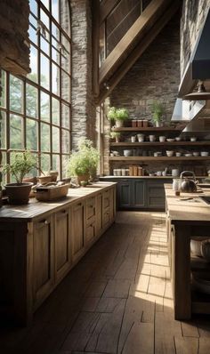 a kitchen with wooden floors and lots of windows on the wall, along with potted plants