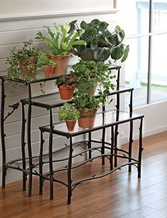 three tiered plant stands with plants on them in front of a window and wood floor