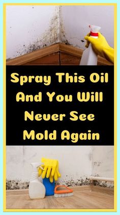 spray this oil and you will never see mold again