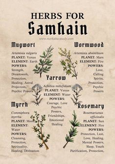 Herbs For Samhain, Samhain Grimoire Page, Samhain Herbs, Book Of Shadows Inspiration, Grimoire Pages, Witch Herbs, Love Psychic, Wiccan Magic, Grimoire Book