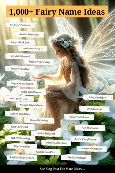 the fairy name ideas list is shown