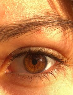 Eye Asthetic Picture, Pretty Eyes Brown, Chestnut Brown Eyes, Brown Eyes In The Sun, Honey Brown Eyes, Eyes Pictures, Pretty Eyes Color, Light Brown Eyes, Honey Eyes