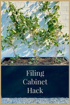 a black sign that says filing cabinet hack in front of a white brick wall with green plants growing out of it