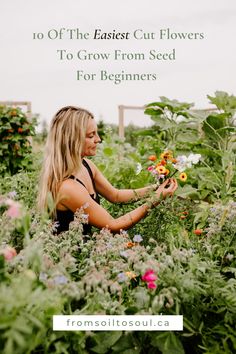 a woman kneeling down in the middle of a flower garden with text overlay that reads, 10 of the fastest cut flowers to grow from seed for beginners