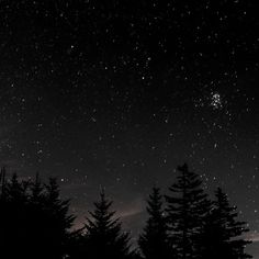 the night sky is filled with stars and trees