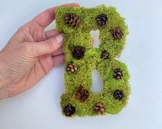 someone is holding the letter b made out of moss and pine cones