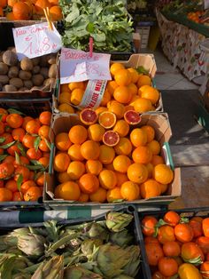 several boxes filled with oranges and other fruits