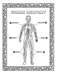 the human anatomy is shown in black and white