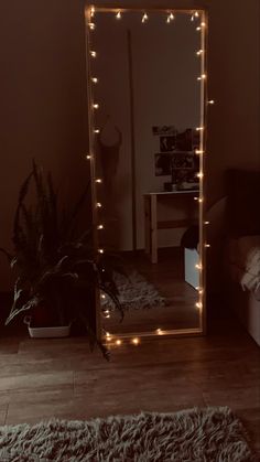 a large mirror with lights on it in a room next to a rug and potted plant