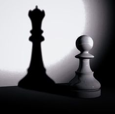 a black and white photo of a chess pawn next to a king's piece