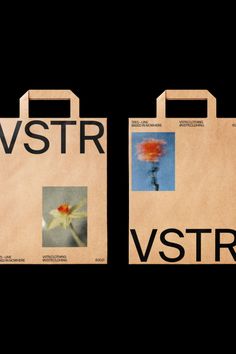 two brown bags with pictures on them and the words v str are in black