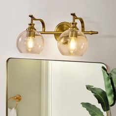 a bathroom mirror with two lights on it and a plant in front of the mirror