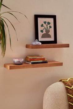 two wooden shelves with plants and books on them