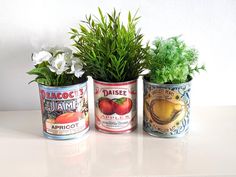 three tin cans with plants in them sitting on a table