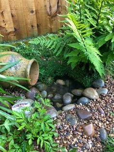 a garden filled with lots of green plants and rocks