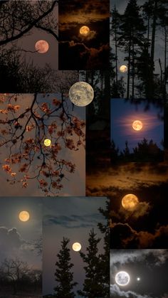 many different images of the moon and trees