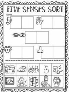 the five sensess sort worksheet with pictures and words to help students learn how to