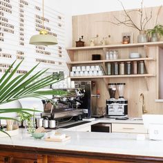 a coffee shop with lots of shelves and plants on the counter top in front of it