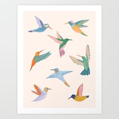 colorful hummingbirds flying in the sky on a pink background art print by artist and photographer lauren