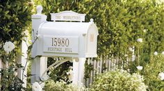 a white mailbox sitting in the middle of some bushes