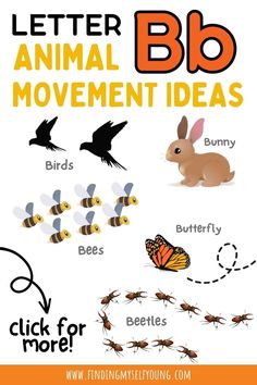 the letter b is for animal movement and it's important to children in their life