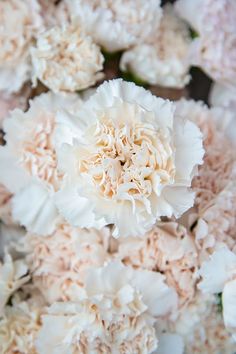 white and pink flowers are arranged together