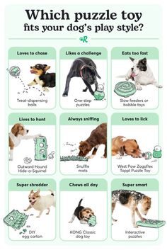 a poster with dogs and money on it that says which puzzle toy fits your dog's play style