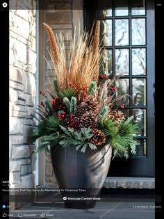 a large potted plant with pine cones, berries and greenery in front of a house