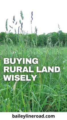 the words buying rural land wisely in front of tall grass