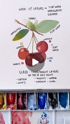 an artist's watercolor palette with cherries on it and the names of their paints