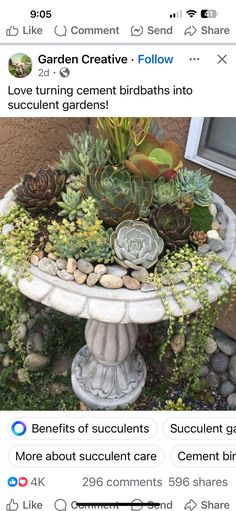 an image of a garden with succulents and rocks in it on instagram