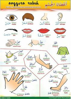 an arabic poster showing different types of hands