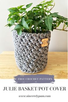 a crocheted pot with a plant in it