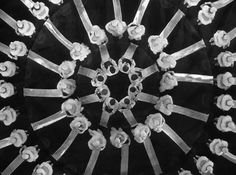 an abstract black and white photo with flowers in the center, surrounded by thin strips of ribbon