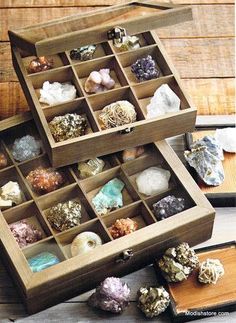 Rock Collection Display, Types Of Rocks, Rocks And Fossils, Deco Nature, Home Decor Online, Rock Collection, Decoration Inspiration