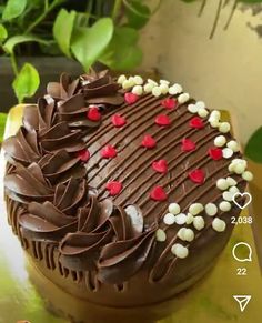 a chocolate cake with hearts on it sitting on a table next to a potted plant