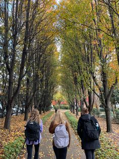 three people walking down a tree lined path in the fall with backpacks on their backs