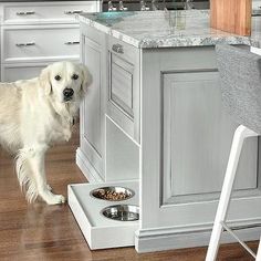 a white dog standing on top of a wooden floor next to a bowl of food